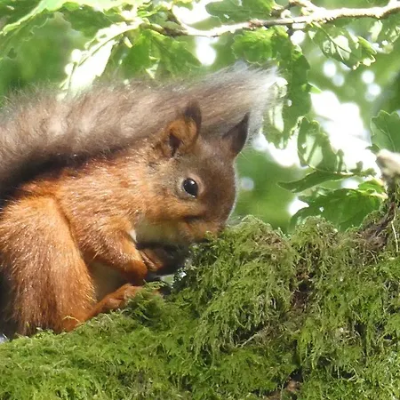 2 Double Bed Hottub District 別荘