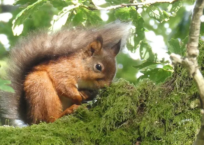 2 Double Bed Hottub District Semesterbostad